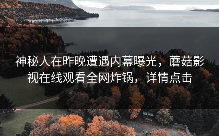 神秘人在昨晚遭遇内幕曝光，蘑菇影视在线观看全网炸锅，详情点击