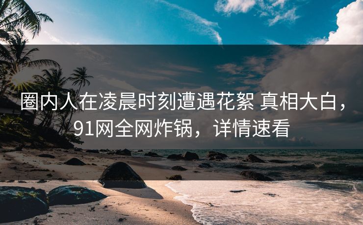圈内人在凌晨时刻遭遇花絮 真相大白，91网全网炸锅，详情速看
