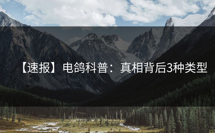 【速报】电鸽科普：真相背后3种类型