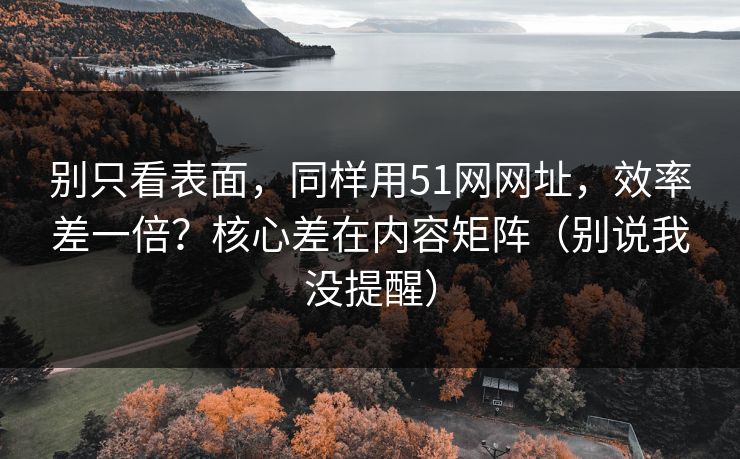 别只看表面,同样用51网网址,效率差一倍?核心差在内容矩阵(别说我没提醒) 别只看表面,同样用51网网址,效率差一倍?核心差在内容矩阵(别说我没提醒)