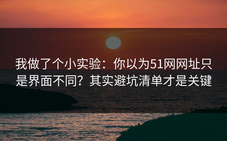 我做了个小实验：你以为51网网址只是界面不同？其实避坑清单才是关键