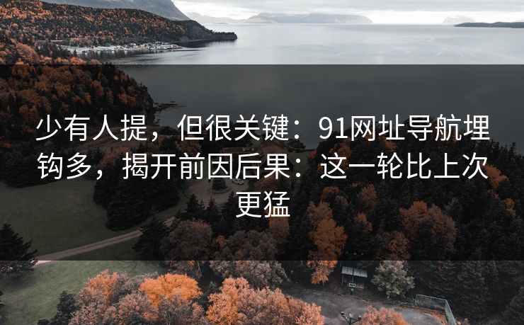 少有人提，但很关键：91网址导航埋钩多，揭开前因后果：这一轮比上次更猛